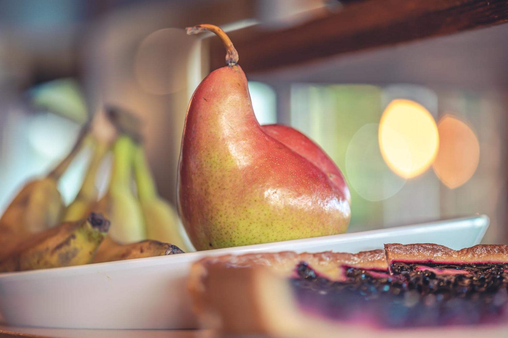 Logis Hotel Restaurant Le Plantevin Propiac Εξωτερικό φωτογραφία